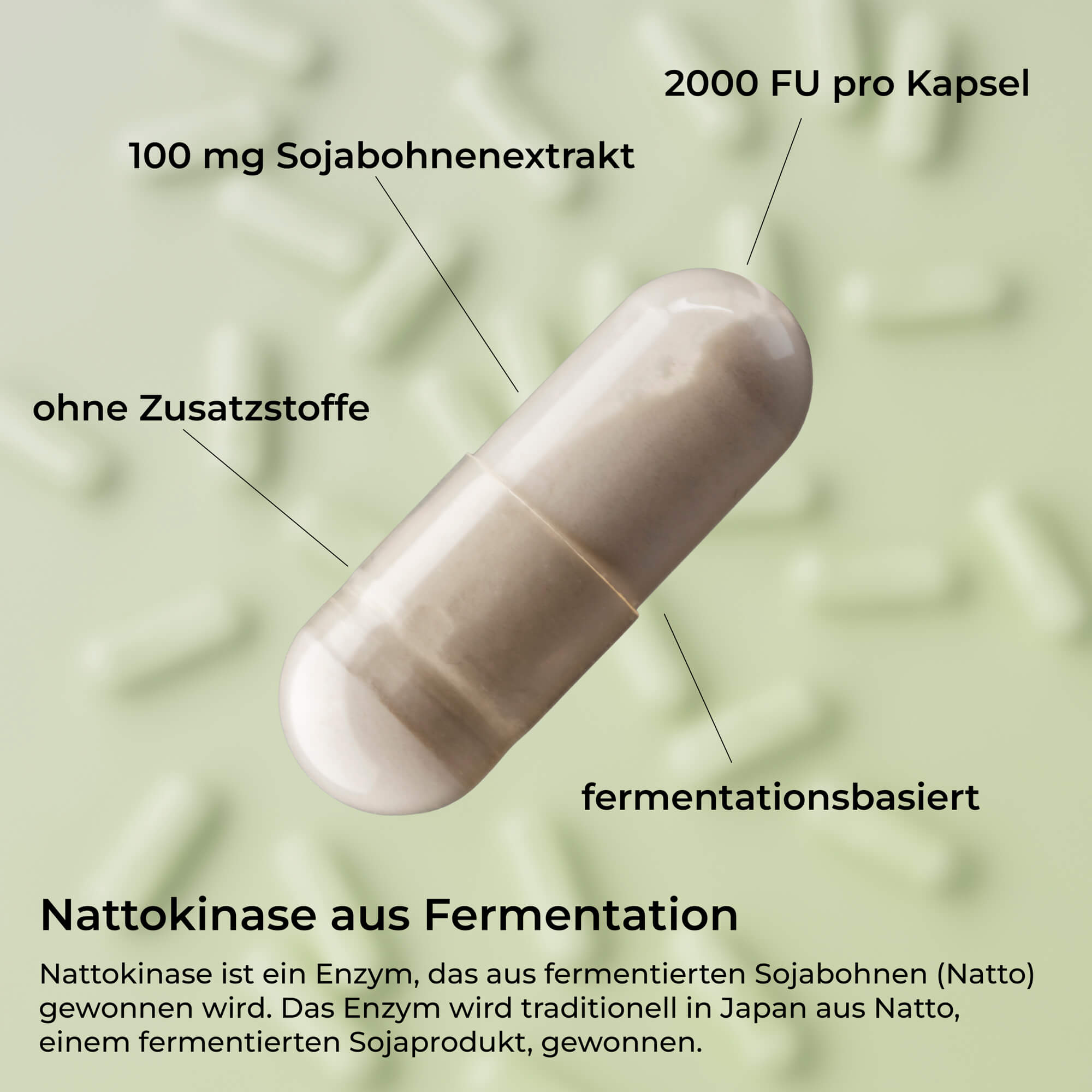 Nattokinase 2.000 FU – 365 vegane Kapseln – waka - nutrition.com