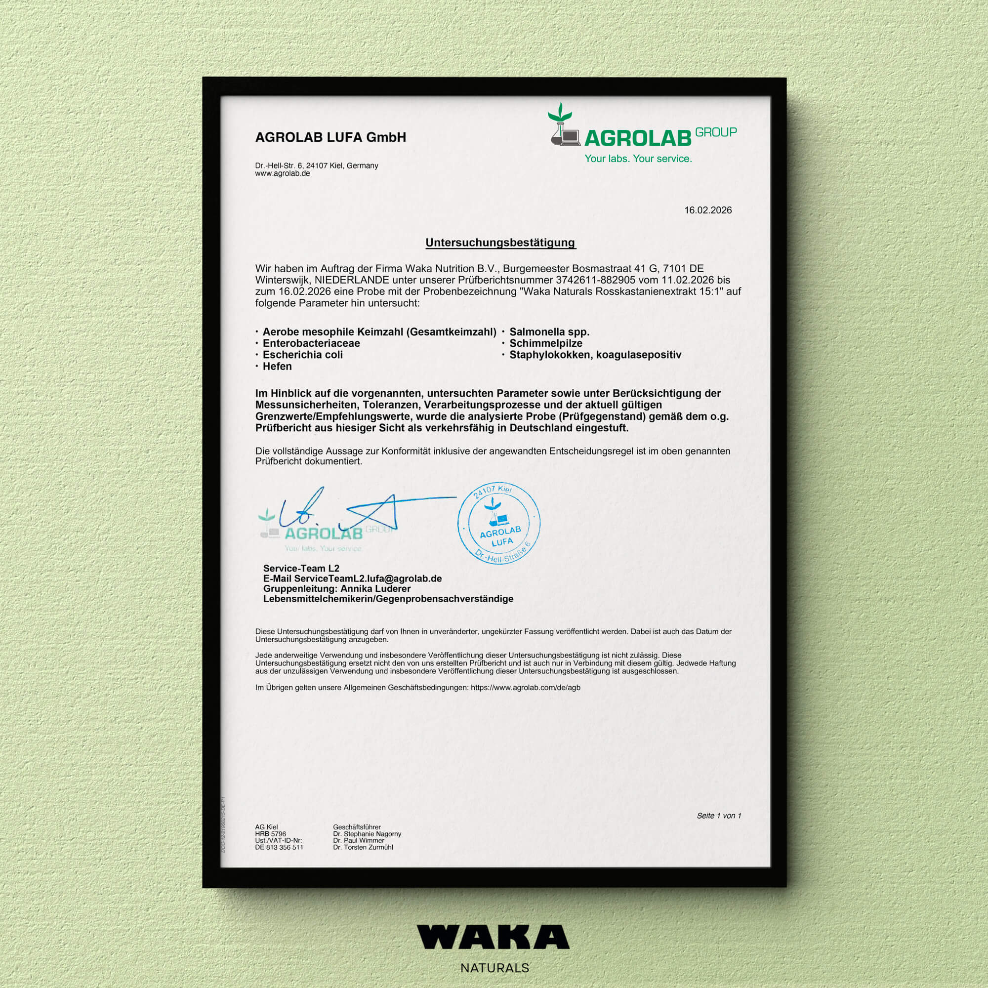 Rosskastanienextrakt hochkonzentriert 15:1 – 800 mg Kapseln mit natürlichem Aescin – waka - nutrition.com