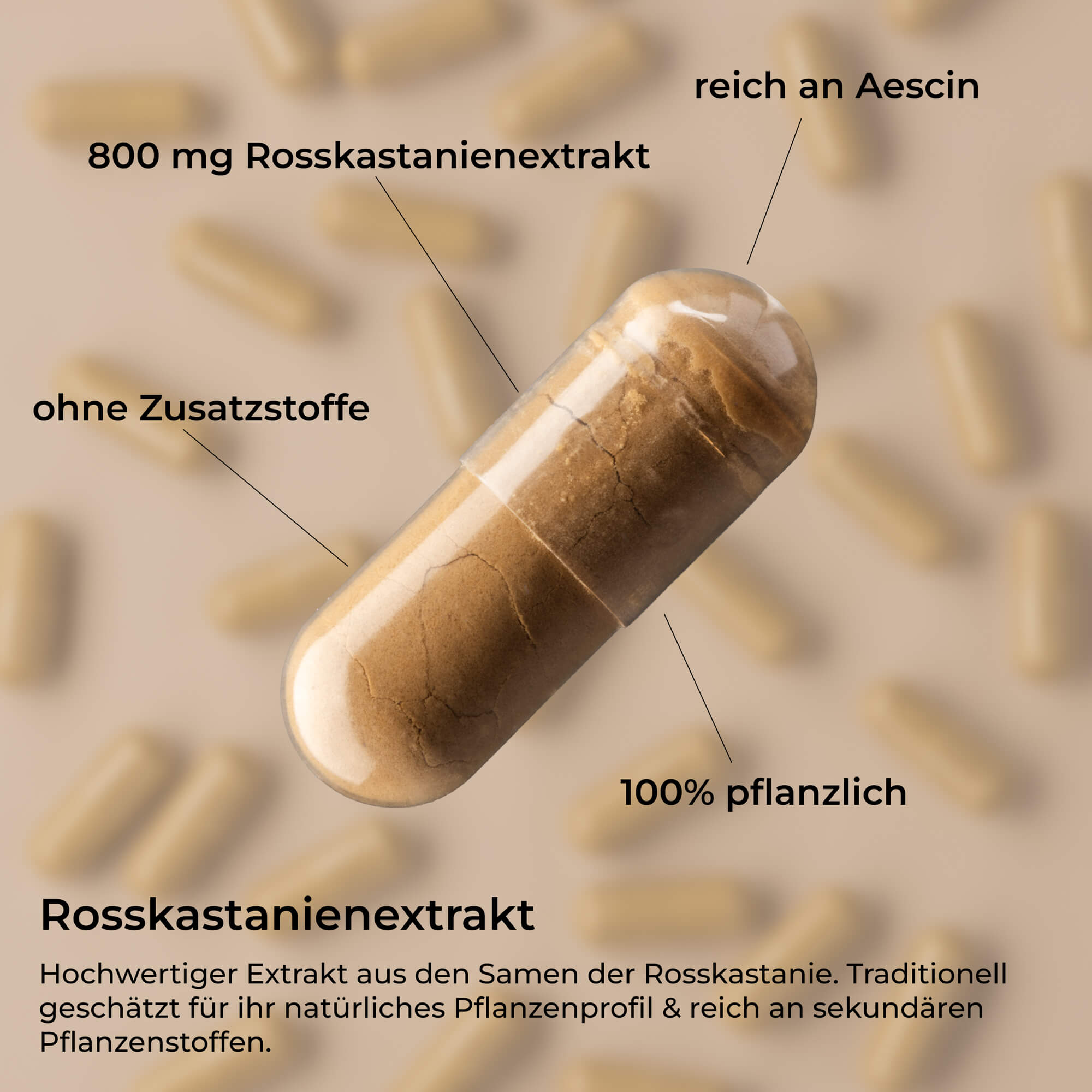 Rosskastanienextrakt hochkonzentriert 15:1 – 800 mg Kapseln mit natürlichem Aescin – waka - nutrition.com