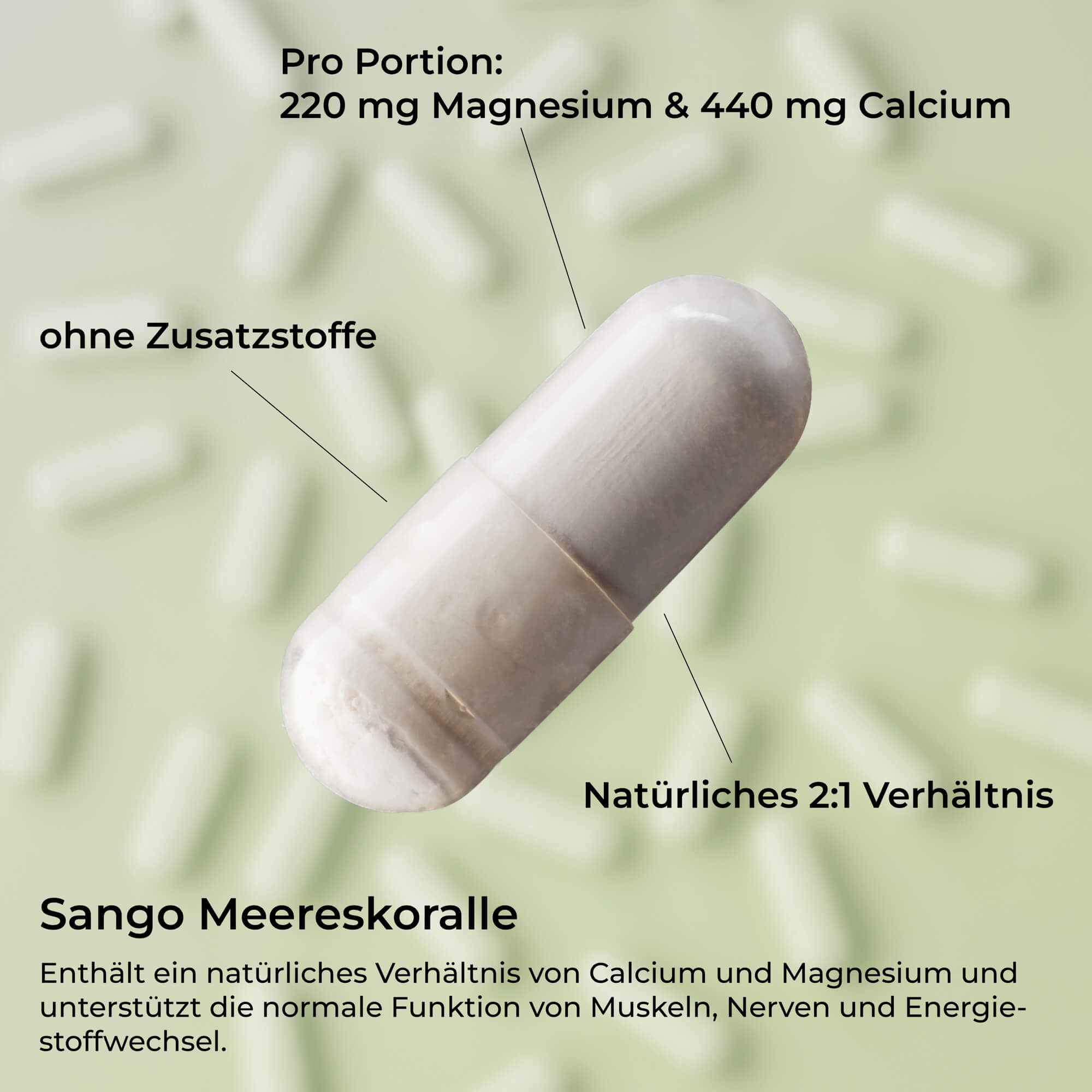 Sango Koralle 2:1 – Calcium - Magnesium Kapseln aus natürlicher Meereskoralle – waka - nutrition.com