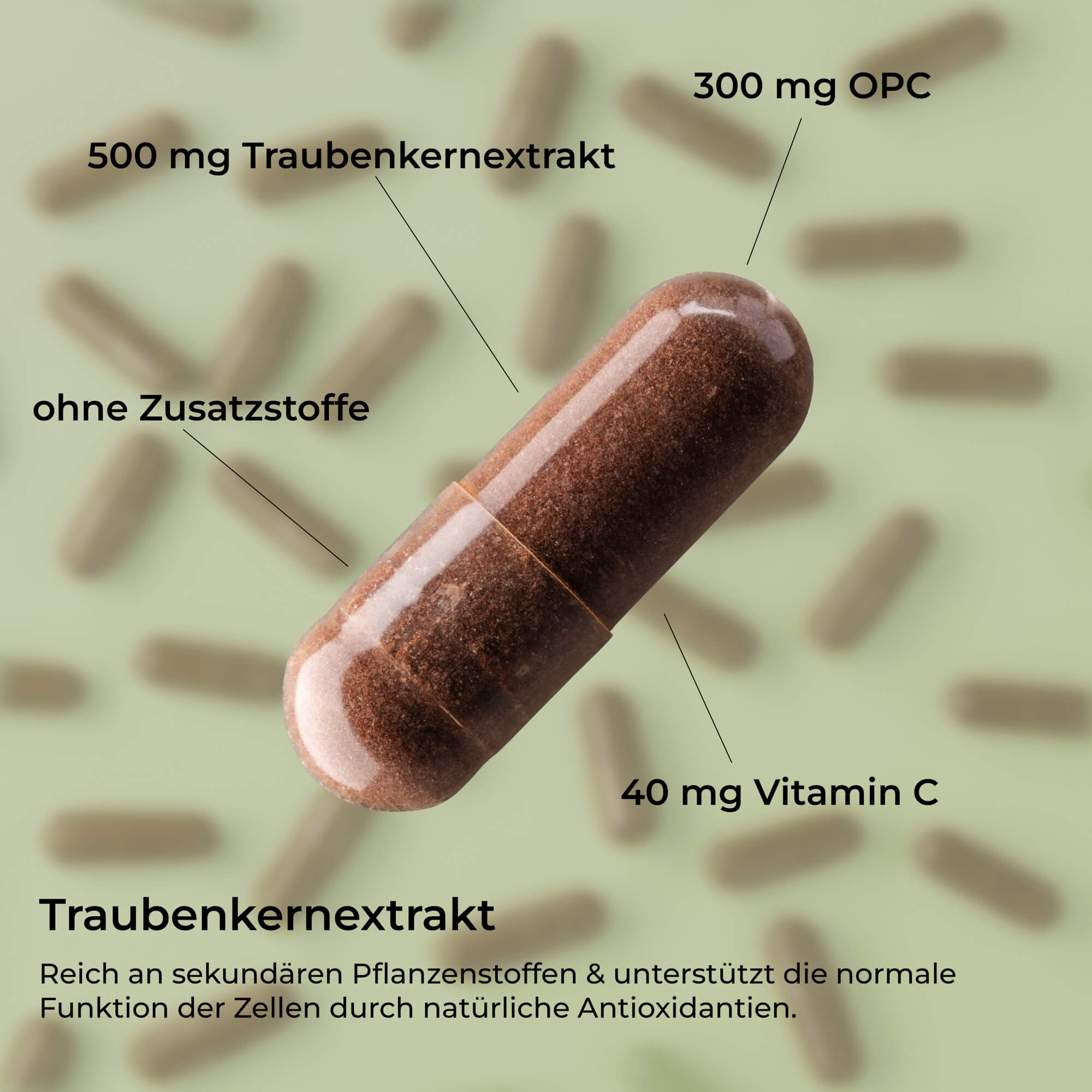 Traubenkernextrakt OPC 300 – Hochdosierte OPC Kapseln – waka - nutrition.com