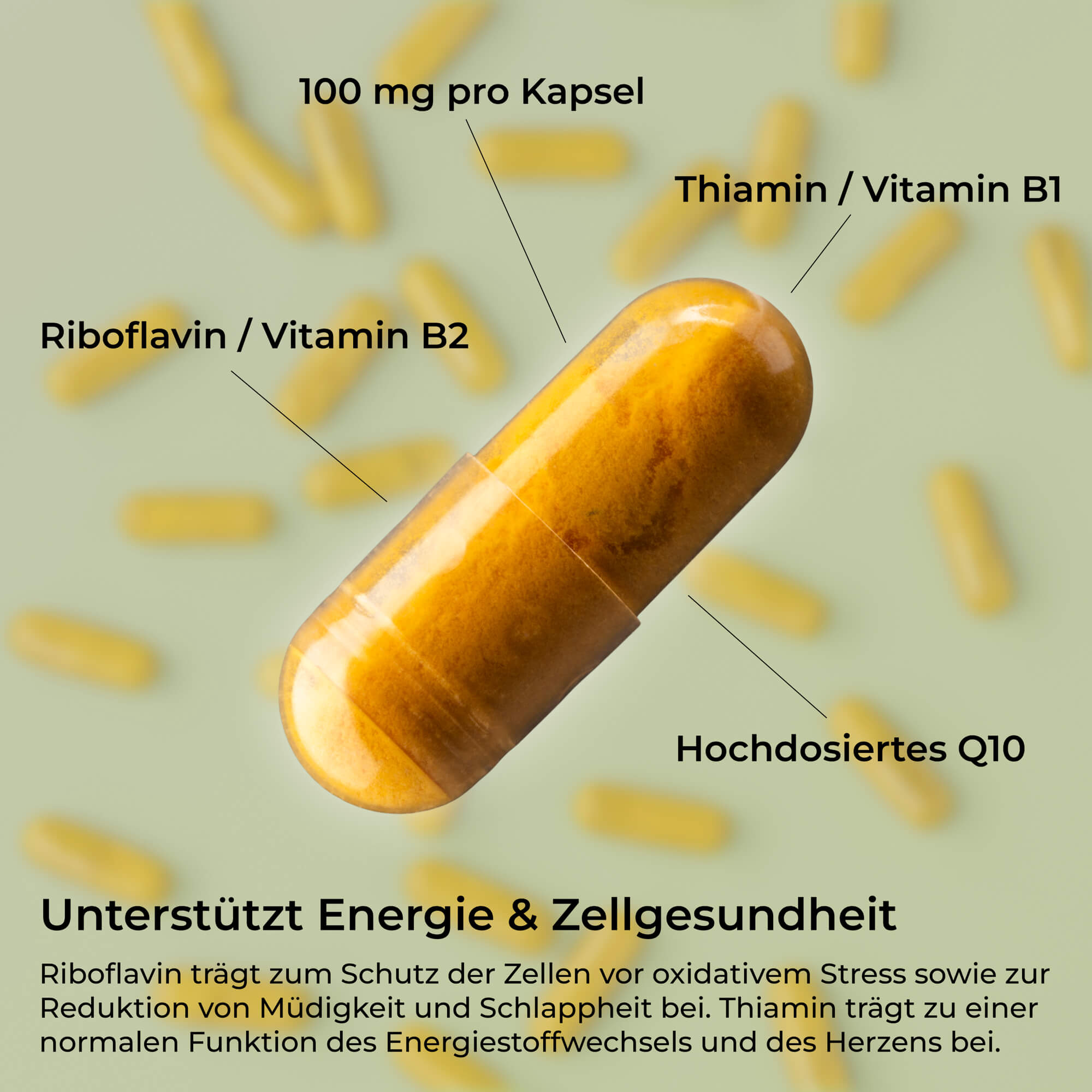 Coenzym Q10 Plus hochdosiert – 100 mg Q10 Kapseln mit Vitamin B1 & B2 – waka - nutrition.com