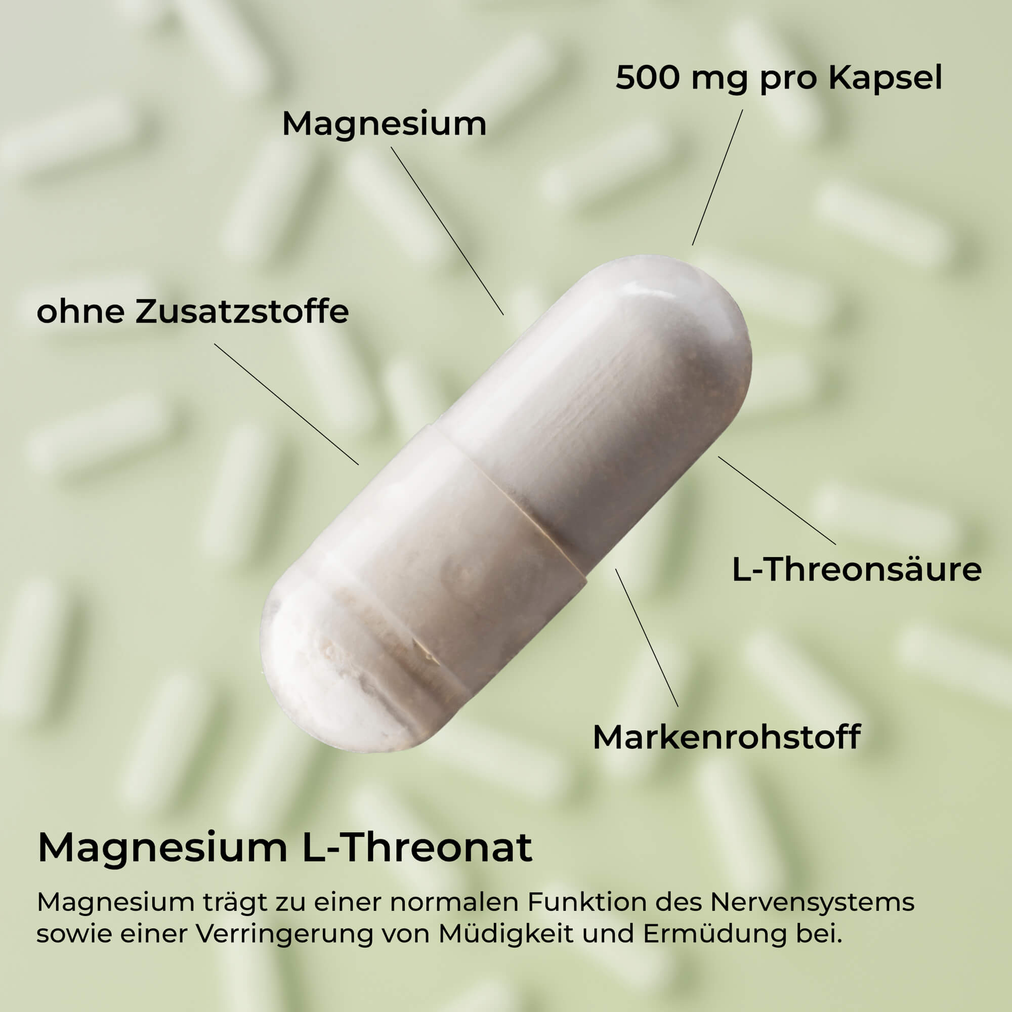 Magnesium L - Threonat Kapseln – Hoch bioverfügbare Magnesiumform – waka - nutrition.com