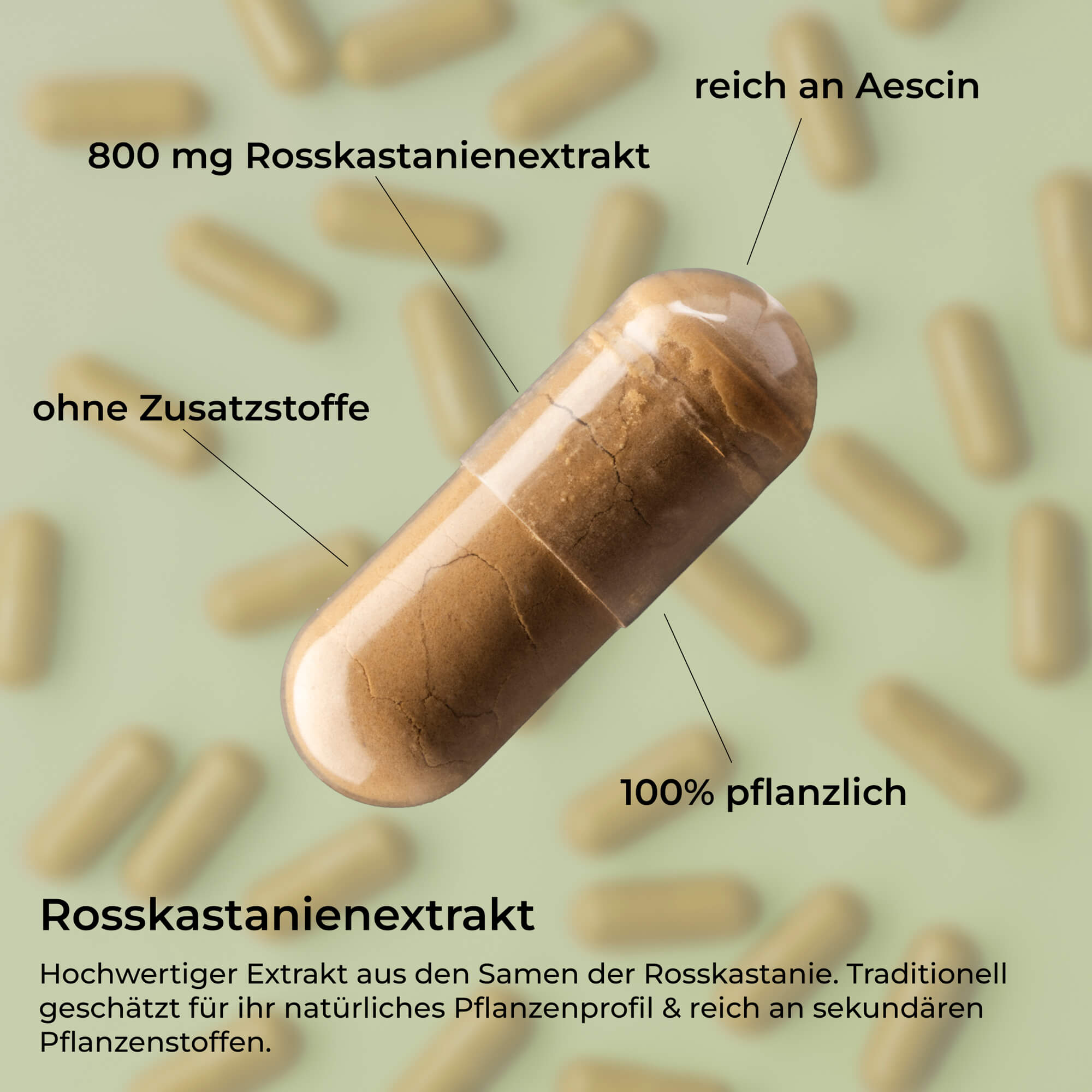 Rosskastanienextrakt hochkonzentriert 15:1 – 800 mg Kapseln mit natürlichem Aescin – waka - nutrition.com